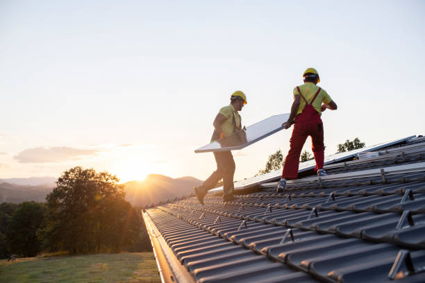 Best Chimney Flashing Repair  in Holt, MI
