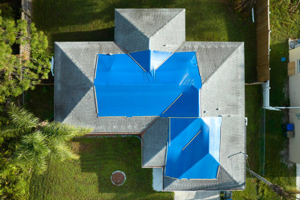 Best Roof Insulation Installation  in Holt, MI