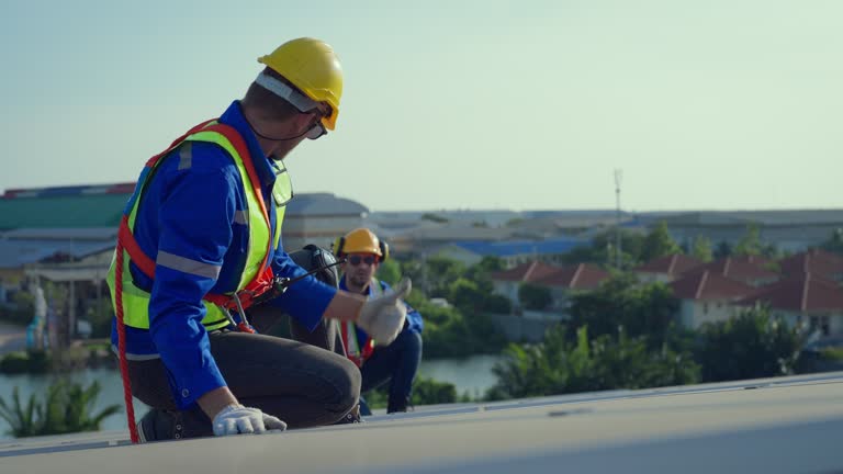 Best Sheet Metal Roofing  in Holt, MI