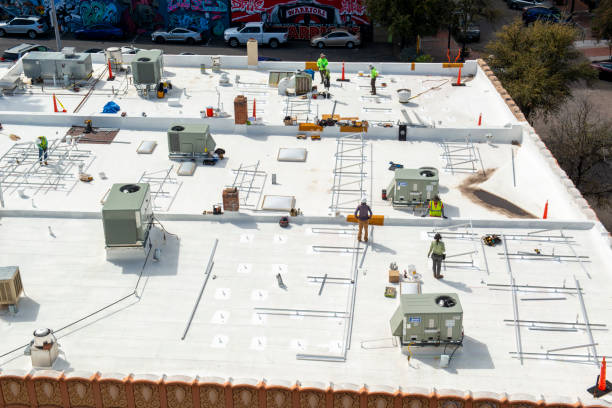 Best Skylight Installation and Repair  in Holt, MI
