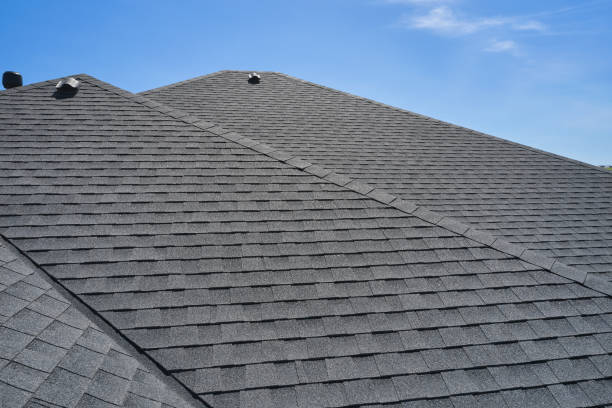 Best Roof Maintenance  in Holt, MI